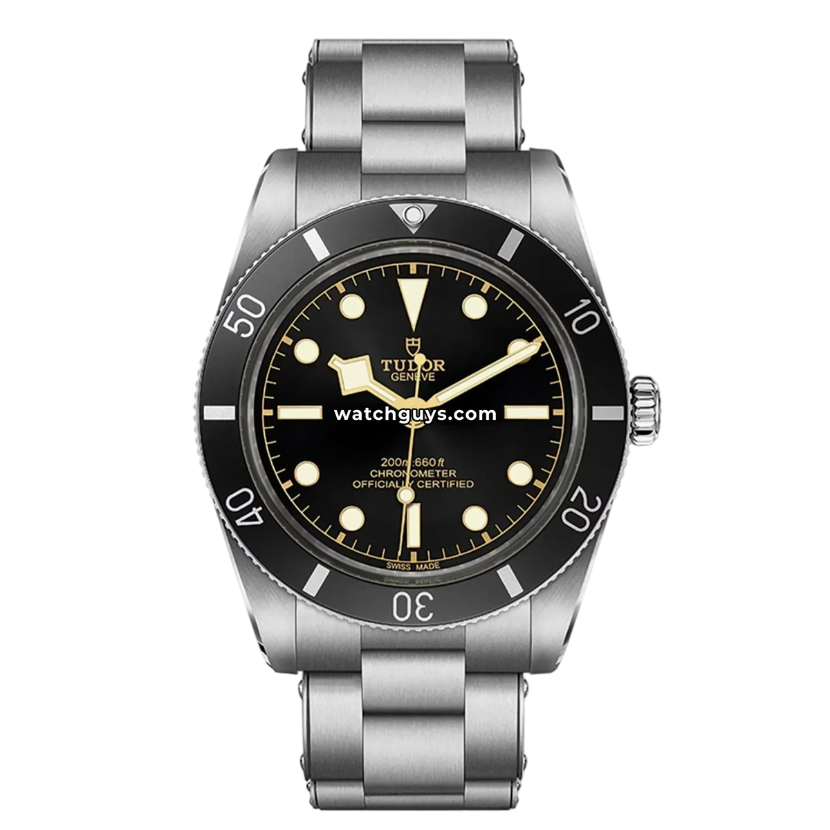 Tudor Black Bay 54 79000N