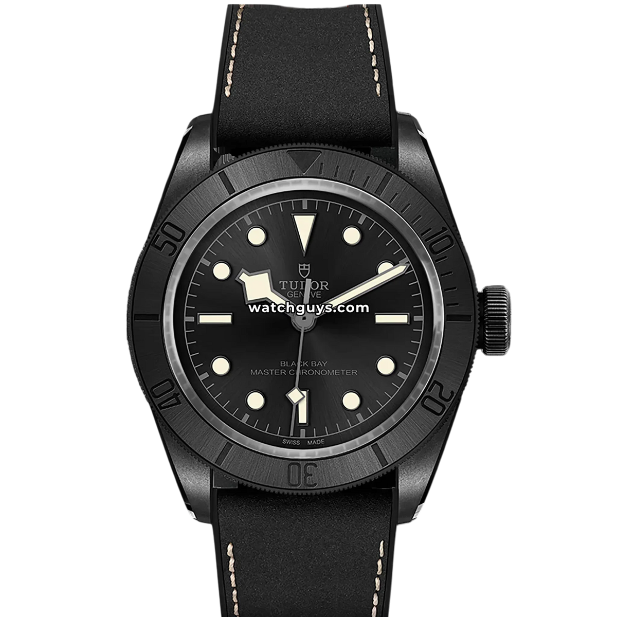 Tudor Black Bay 79210CNU Black