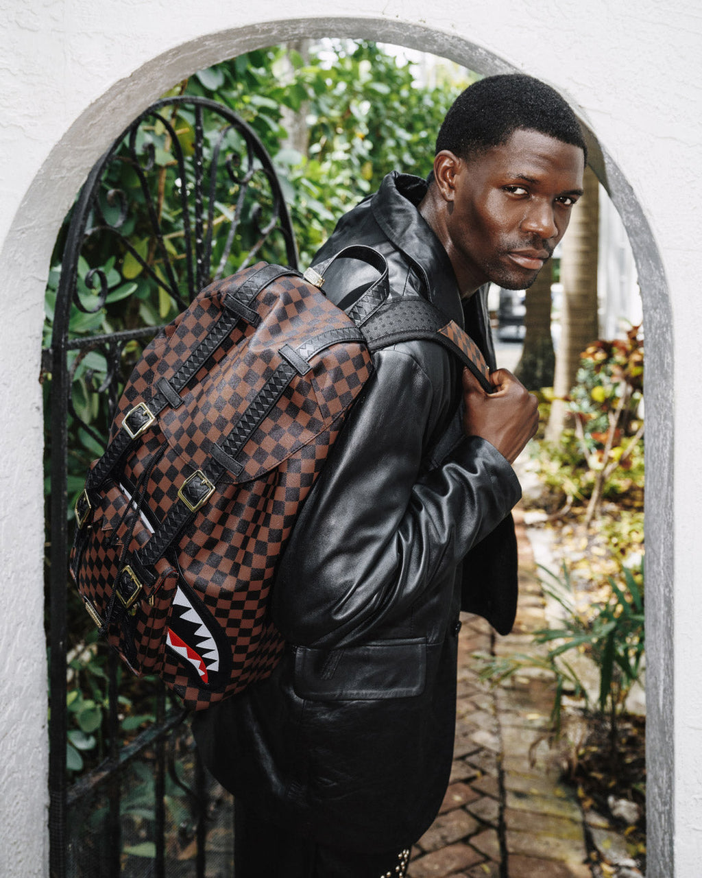 SAWTOOTH SHARKS IN PARIS HILLS BACKPACK