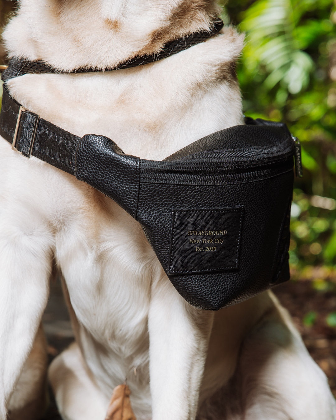 THE HQ SAVVY CROSSBODY