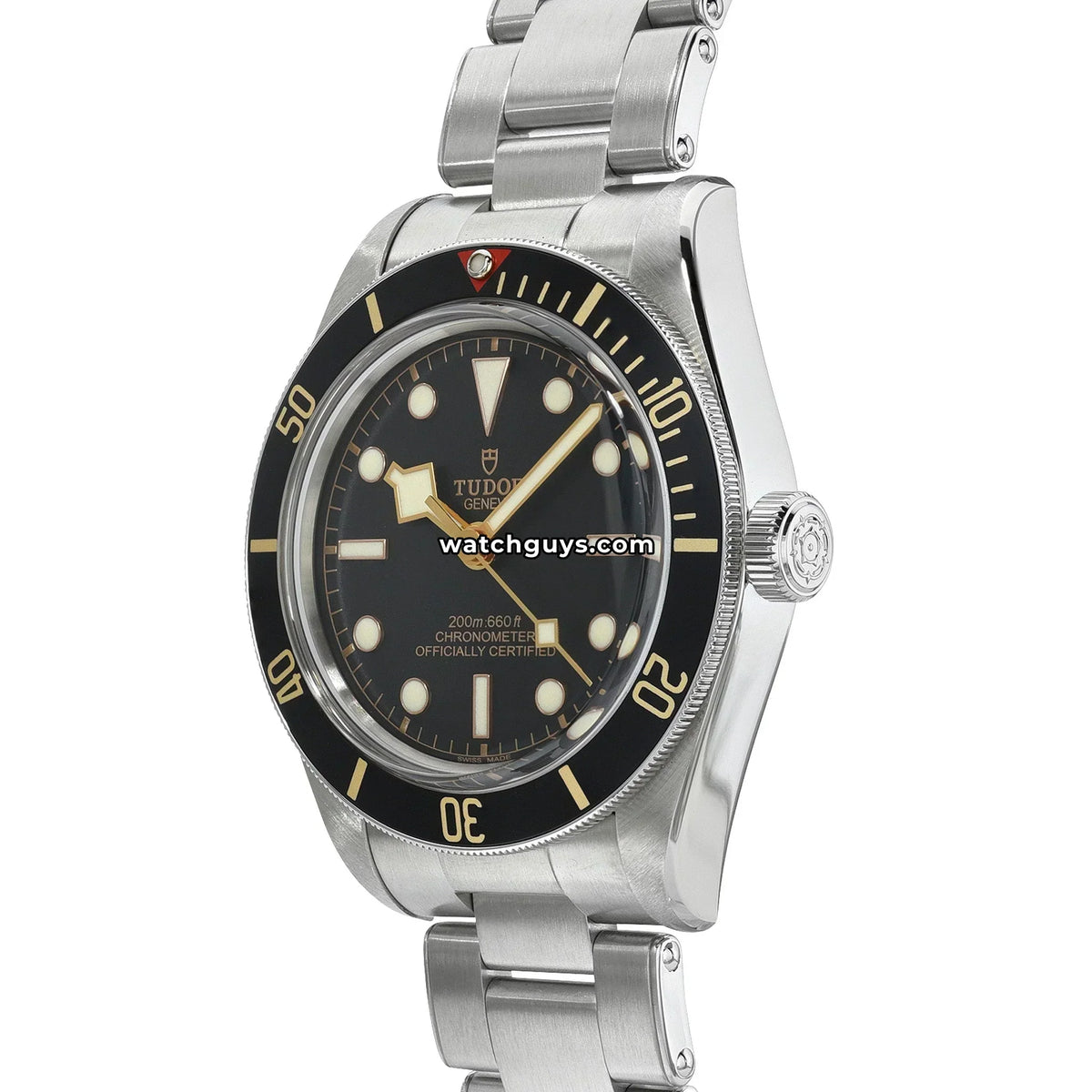 Tudor Black Bay 58 79030N